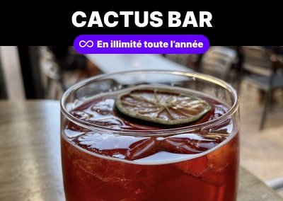 🌵 Cactus Bar